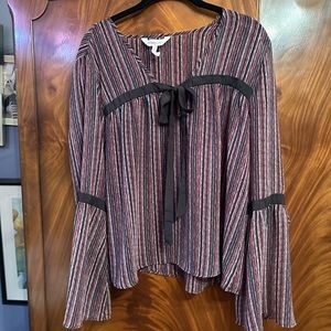 BCBG sheer blouse. Worn once.